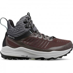 Brown Saucony Ultra Ridge GTX Women's Trail Running Shoes | USA ASIHPT