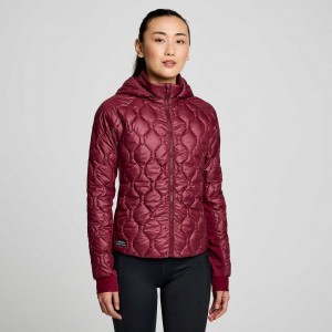 Burgundy Saucony Solstice Oysterpuff Women's Jacket | USA XLUYWS