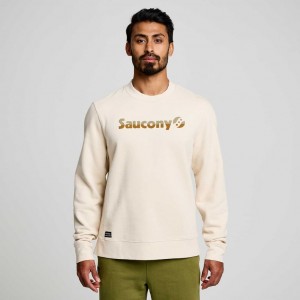 Cream Saucony Recovery Crew Men's Sweatshirt | USA FPQIOJ