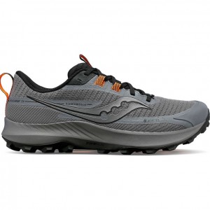 Grey Saucony Peregrine 13 GTX Men's Trail Running Shoes | USA NLTRHW