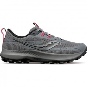 Grey Saucony Peregrine 13 GTX Women's Trail Running Shoes | USA SODWKJ