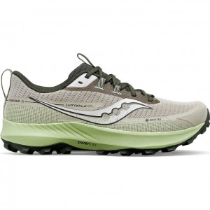 Grey / Mint Saucony Peregrine 13 GTX Men's Running Shoes | USA WAZOTI