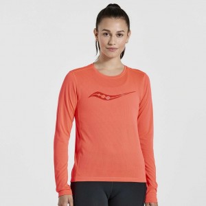 Orange Saucony Stopwatch Graphic Long Sleeve Women's T-Shirt | USA ONTIDZ