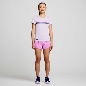 Purple Saucony Stopwatch Graphic Short Sleeve Women's T-Shirt | USA GODEKR