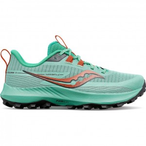 Turquoise Saucony Peregrine 13 Women's Trail Running Shoes | USA OMXGDH