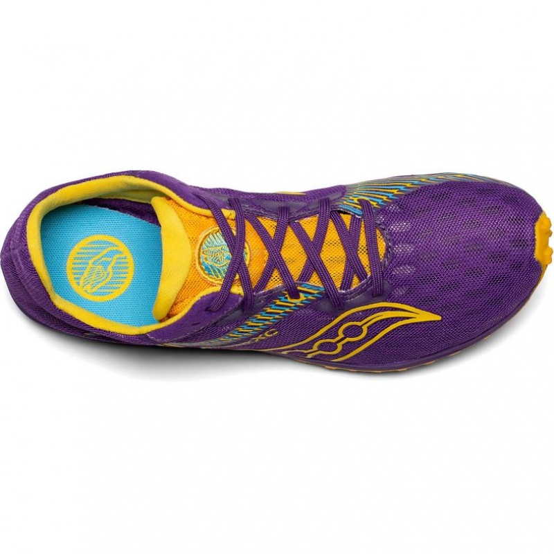 Purple Saucony Kilkenny XC9 Women's Spikes | USA EPRHDX