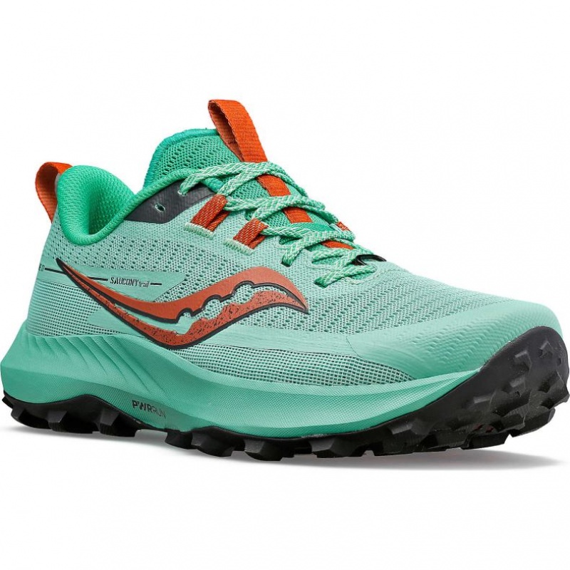 Turquoise Saucony Peregrine 13 Women's Trail Running Shoes | USA OMXGDH